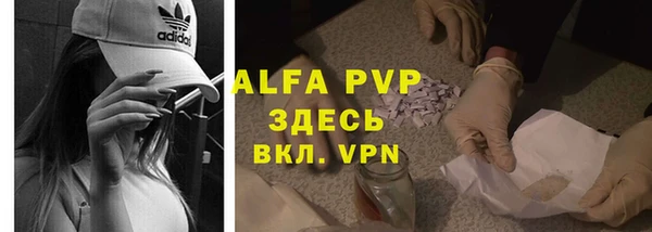 PSILOCYBIN Абаза