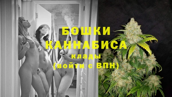 PSILOCYBIN Абаза